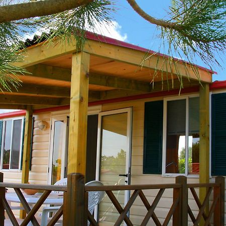Camp Dole Zivogosce Ξενοδοχείο Podgora Εξωτερικό φωτογραφία